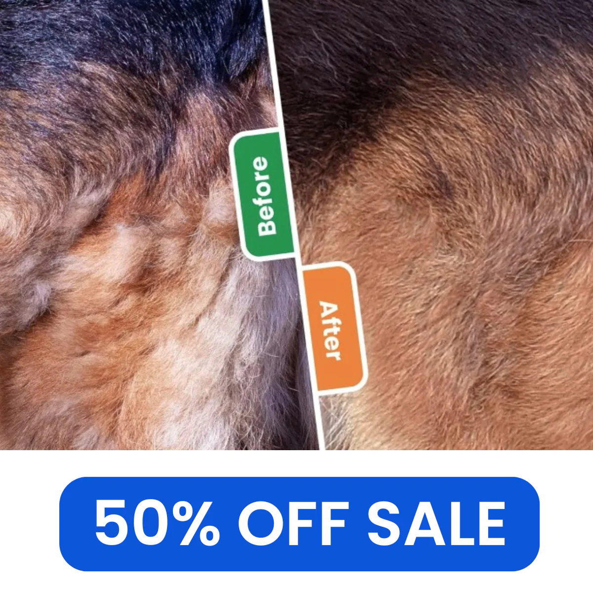 3-in-1 Pet Hair Removal Brush - Image 6