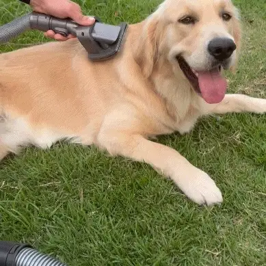 The Magic Grooming Kit™ - Image 8