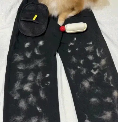 The Magic Brush™ - Buy 1 Get 1 Free - Image 7